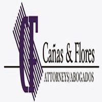 Canas & Flores image 2